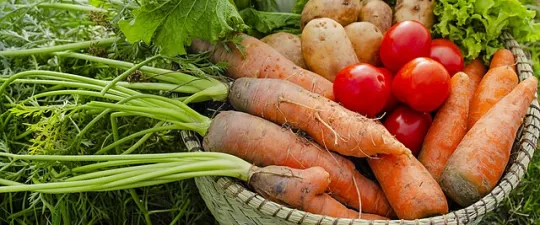 Panier de Légumes de Saison