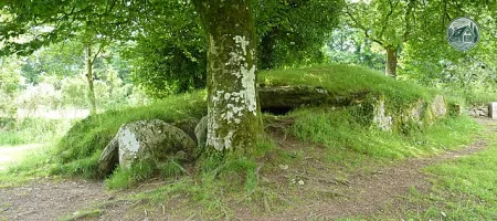 brennilis_08_le_tumulus_et_l-allee_couverte.JPG (
