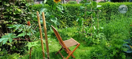 jardin_en_permaculture.jpg