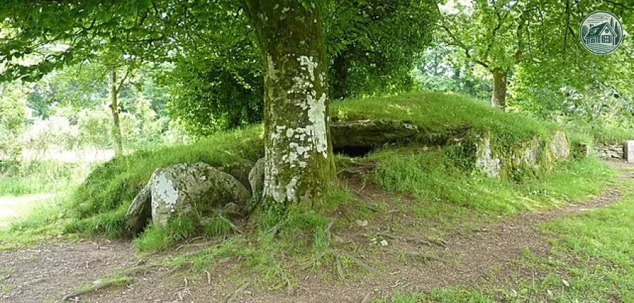 brennilis_08_le_tumulus_et_l-allee_couverte.JPG (