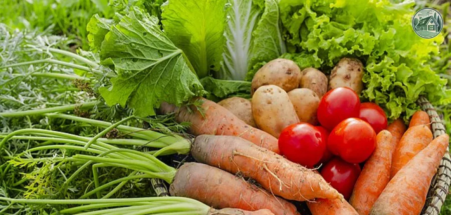 Panier de Légumes de Saison